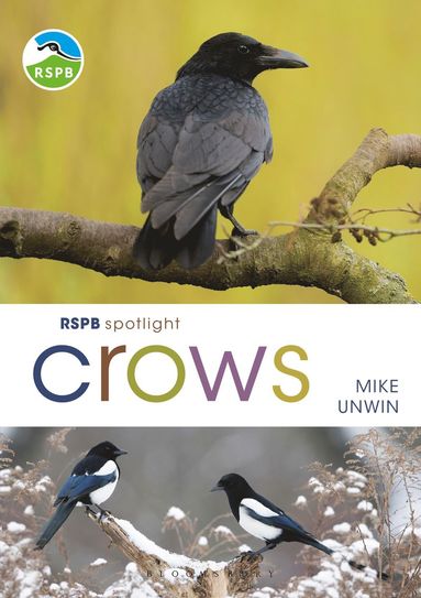 bokomslag RSPB Spotlight Crows