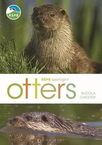 bokomslag RSPB Spotlight: Otters