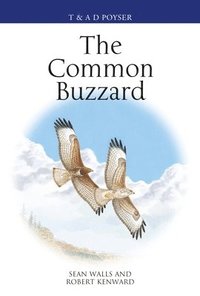 bokomslag The Common Buzzard