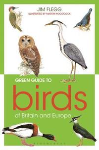 bokomslag Green Guide to Birds Of Britain And Europe
