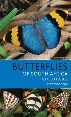 bokomslag Field Guide to Butterflies of South Africa