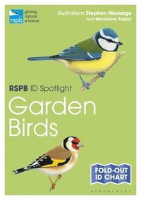 bokomslag Rspb Id Spotlight - Garden Birds