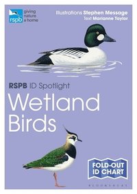bokomslag Rspb Id Spotlight - Wetland Birds