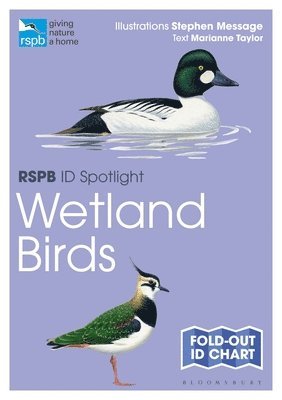 bokomslag RSPB ID Spotlight - Wetland Birds