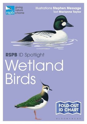 Rspb Id Spotlight - Wetland Birds 1