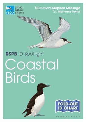 bokomslag RSPB ID Spotlight - Coastal Birds
