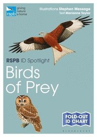 bokomslag Rspb Id Spotlight - Birds of Prey