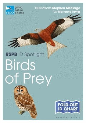 bokomslag RSPB ID Spotlight - Birds of Prey