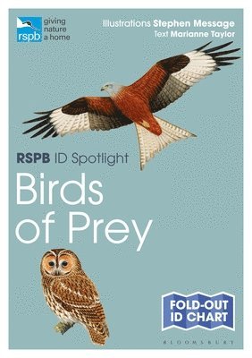 Rspb Id Spotlight - Birds of Prey 1
