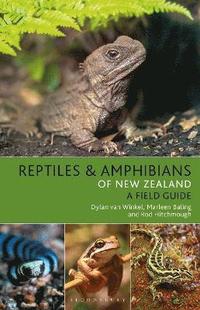 bokomslag Reptiles and Amphibians of New Zealand