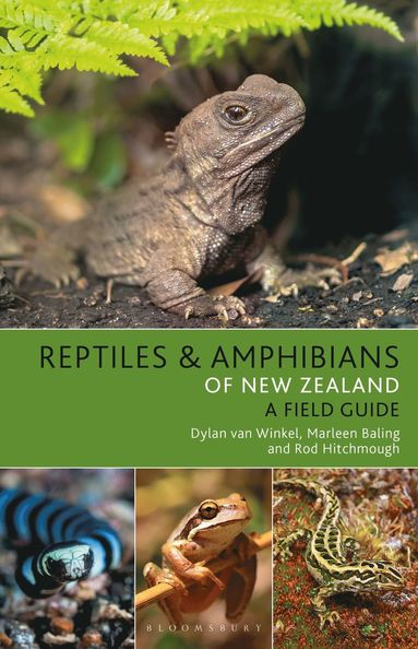 bokomslag Reptiles and Amphibians of New Zealand