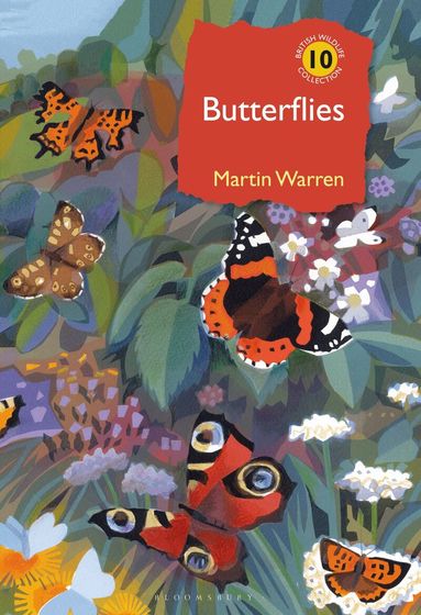 Martin Warren - Butterflies, Inbunden