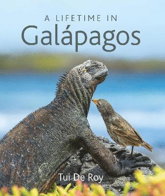 Tui De Roy - De Roy, T: Lifetime in Galapagos, Inbunden