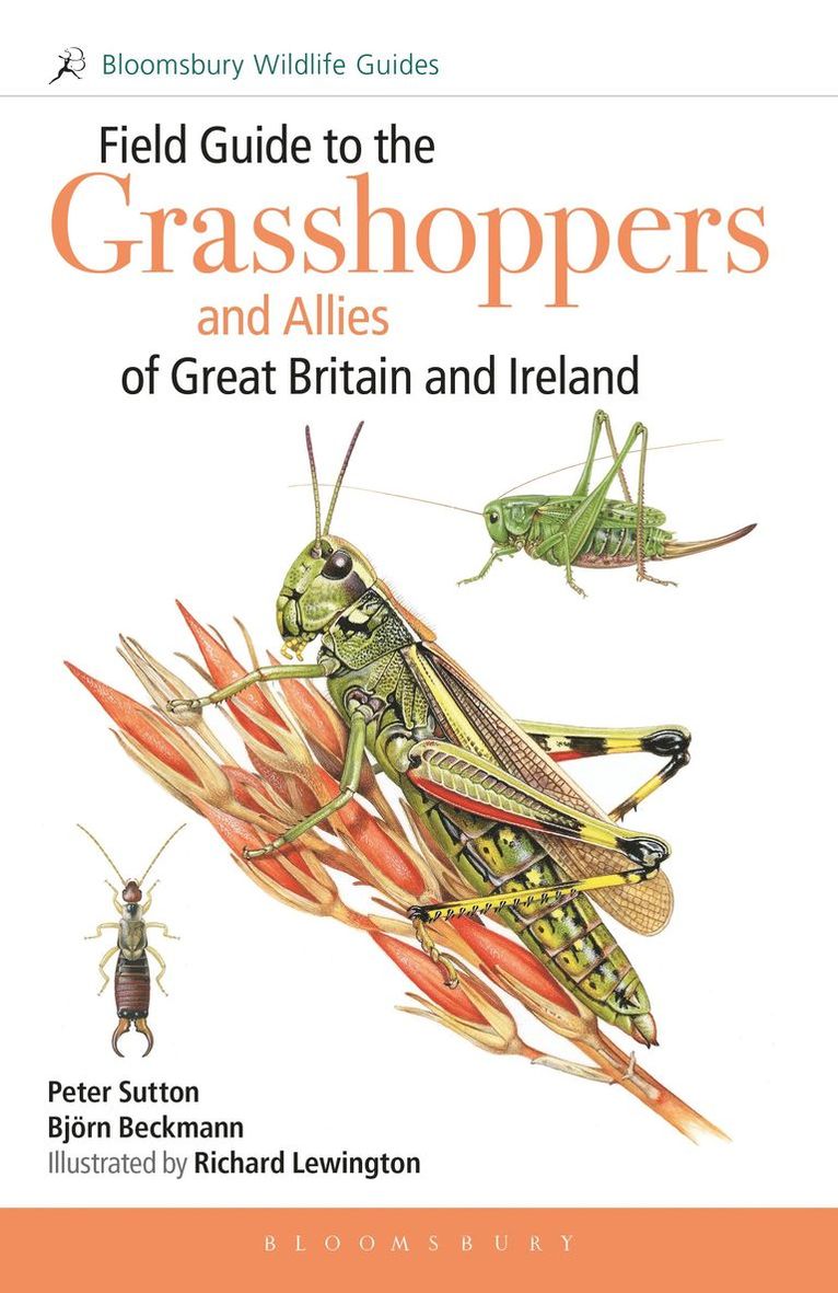 Peter Sutton, Björn Beckmann, Dr Bjorn Beckmann, Bjorn Beckmann - Field Guide to the Grasshoppers and Allies of Great Britain and Ireland, Häftad