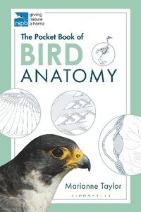 bokomslag The Pocket Book of Bird Anatomy