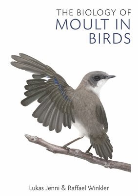 bokomslag The Biology of Moult in Birds