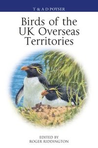 bokomslag Birds of the UK Overseas Territories