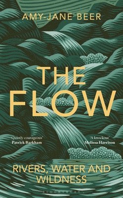 Amy-Jane Beer - The Flow, Inbunden