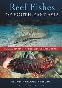 bokomslag Reef Fishes of South-East Asia