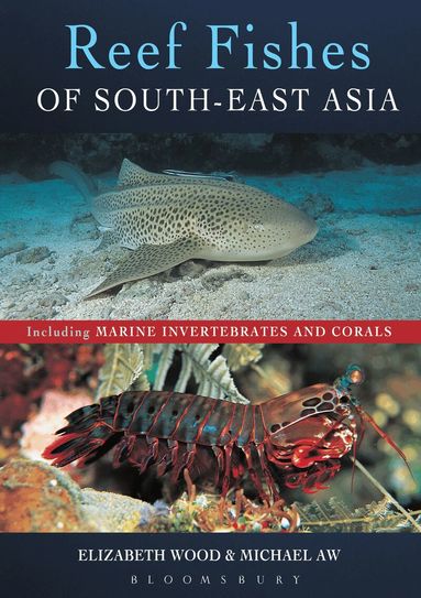Elizabeth Wood, Michael Aw - Reef Fishes of South-East Asia, Häftad