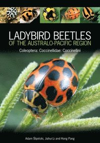 bokomslag Ladybird Beetles of the Australo-Pacific Region