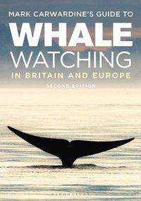 bokomslag Mark Carwardine's Guide To Whale Watching In Britain And Europe