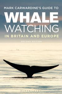 bokomslag Mark Carwardine's Guide To Whale Watching In Britain And Europe