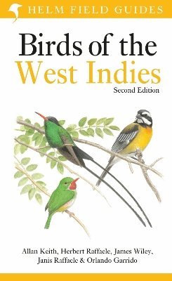 bokomslag Field Guide to Birds of the West Indies