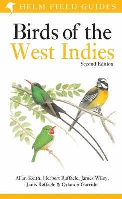 bokomslag Field Guide to Birds of the West Indies