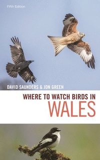 bokomslag Where to Watch Birds in Wales