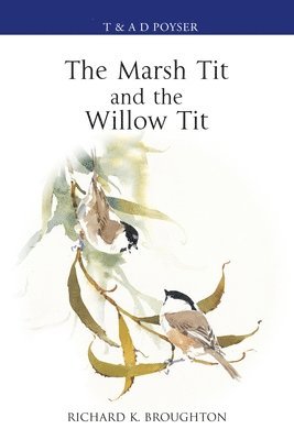 bokomslag The Marsh Tit and The Willow Tit