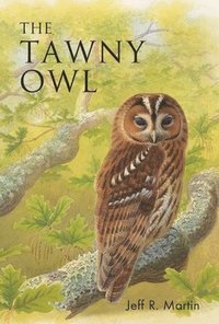 bokomslag Tawny Owl