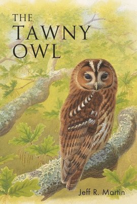 bokomslag The Tawny Owl
