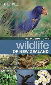 bokomslag Field Guide to the Wildlife of New Zealand