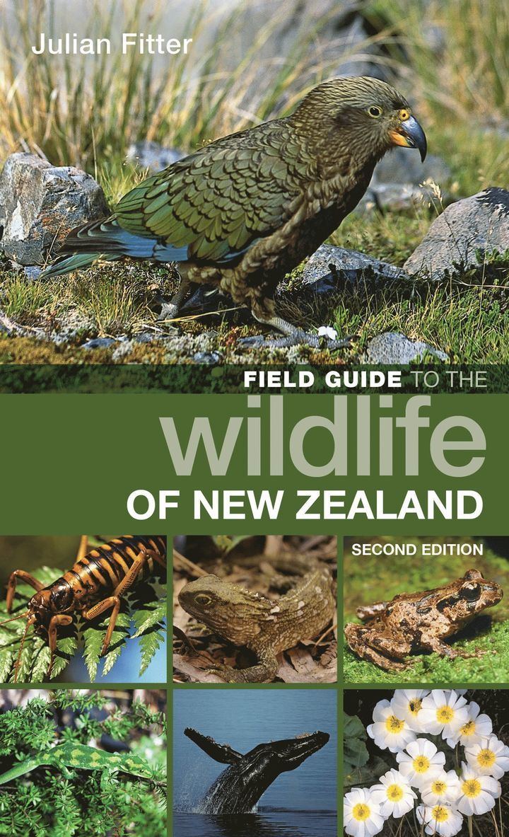 Julian Fitter - Field Guide to the Wildlife of New Zealand, Häftad