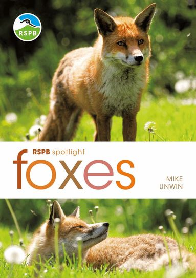 Mike Unwin - RSPB Spotlight: Foxes, Häftad