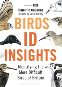 bokomslag Birds: ID Insights