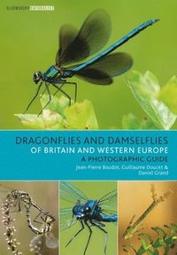 bokomslag Dragonflies and Damselflies of Britain and Western Europe