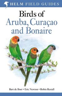 bokomslag Field Guide to Birds of Aruba, Curacao and Bonaire