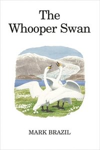 bokomslag The Whooper Swan