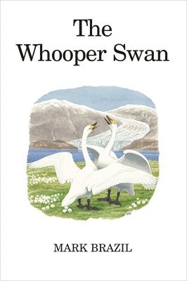 bokomslag The Whooper Swan