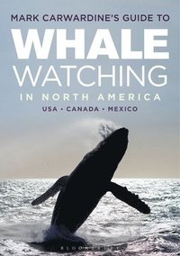 bokomslag Mark Carwardine's Guide to Whale Watching in North America