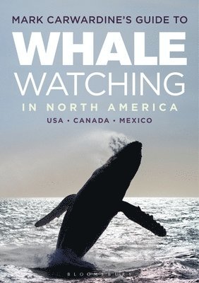 Mark Carwardine's Guide to Whale Watching in North America 1