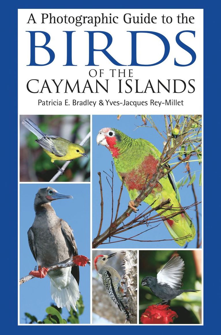 Patricia E. Bradley, Yves-Jacques Rey-Millet, Patricia E Bradley - Photographic Guide to the Birds of the Cayman Islands, Häftad