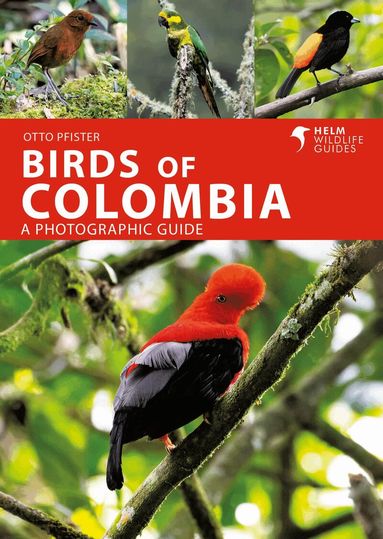 Otto Pfister - Birds of Colombia, Häftad