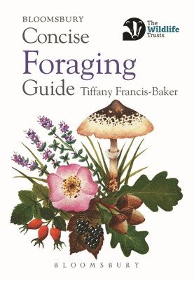 Concise Foraging Guide 1