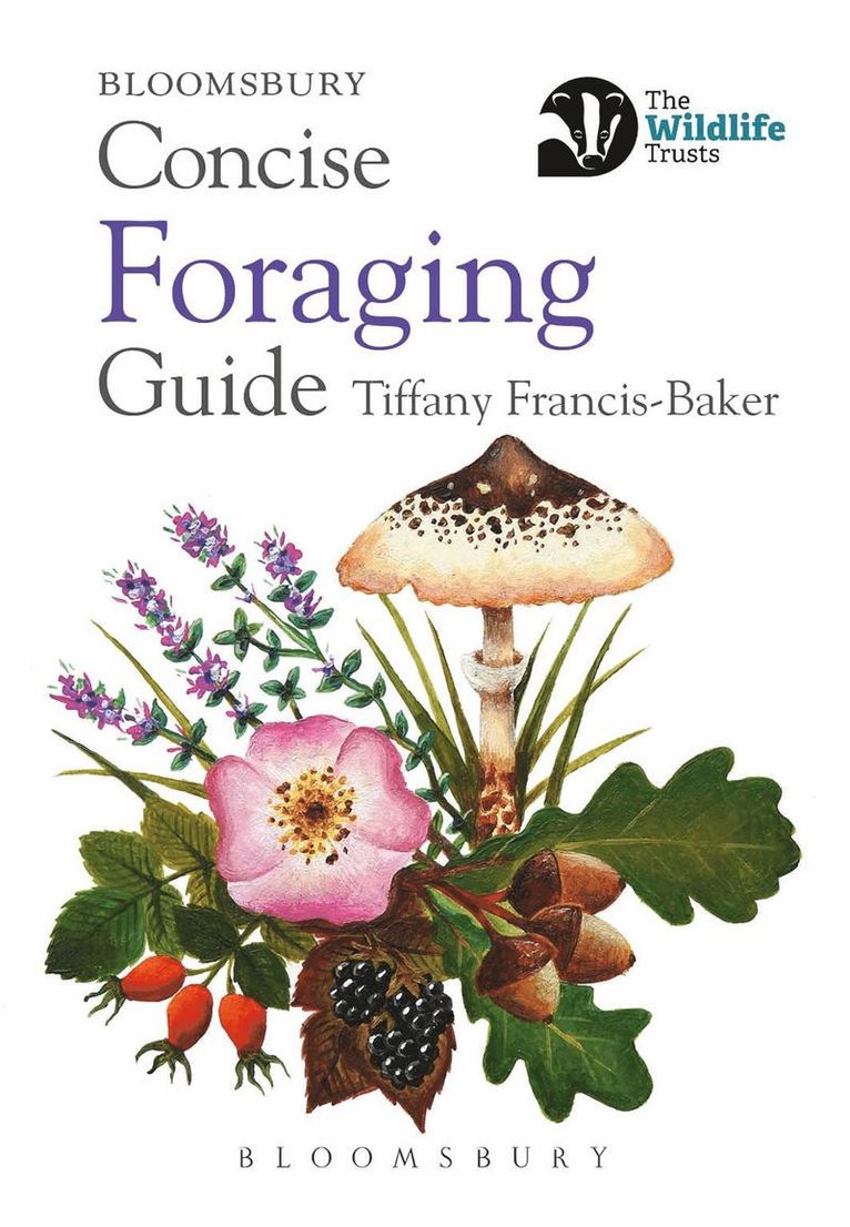 Concise Foraging Guide 1