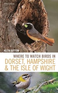 bokomslag Where to Watch Birds in Dorset, Hampshire and the Isle of Wight