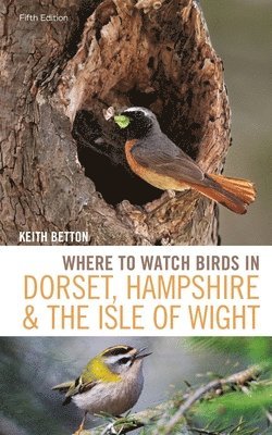 bokomslag Where to Watch Birds in Dorset, Hampshire and the Isle of Wight