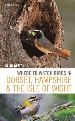 Keith Betton - Where to Watch Birds in Dorset, Hampshire and the Isle of Wight, Häftad